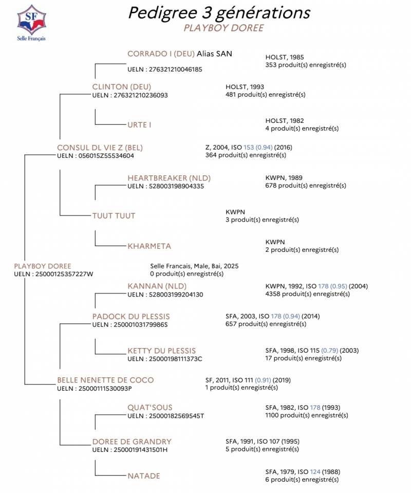 Poulains SELLE FRAN&Ccedil;AIS 