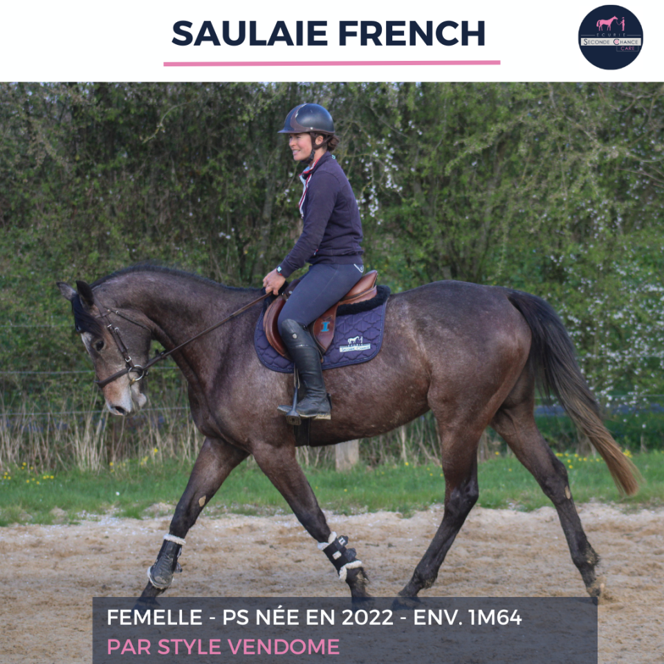 SAULAIE FRENCH - PS - 4 ANS
