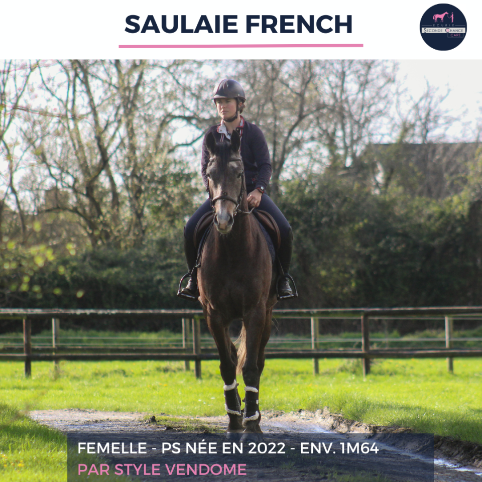 SAULAIE FRENCH - PS - 4 ANS