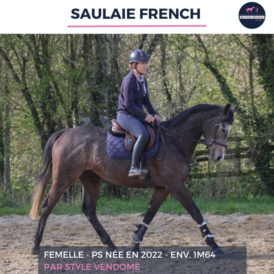 SAULAIE FRENCH - PS - 4 ANS