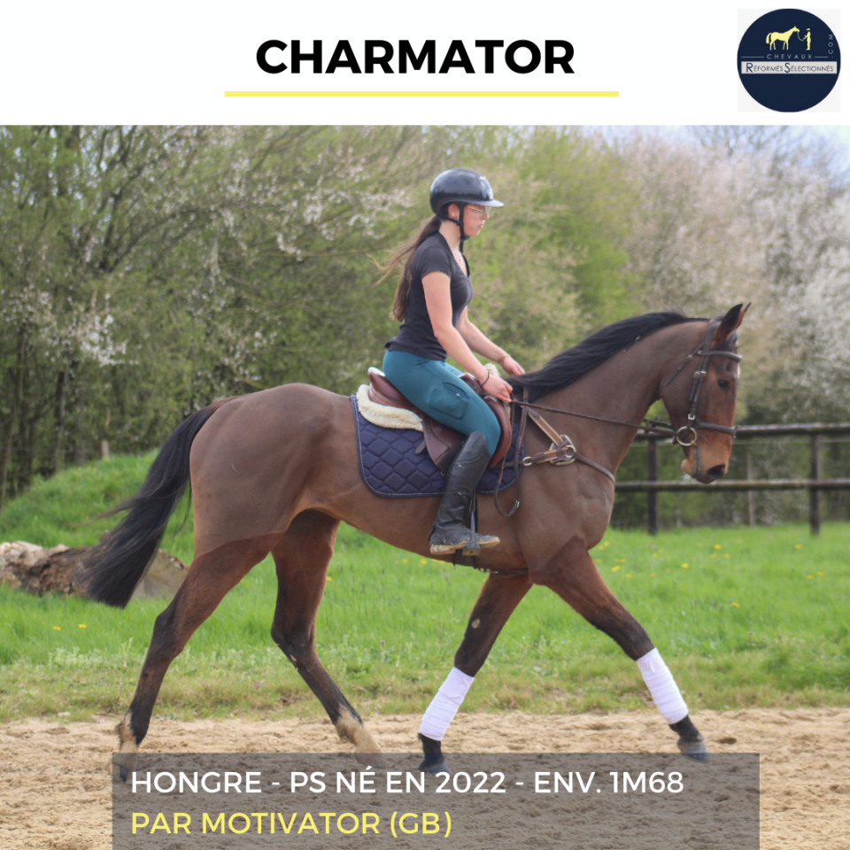 CHARMATOR - PS - 4 ANS