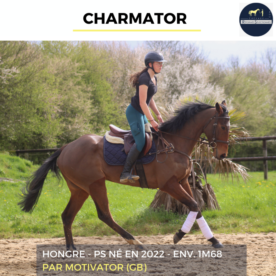 CHARMATOR - PS - 4 ANS