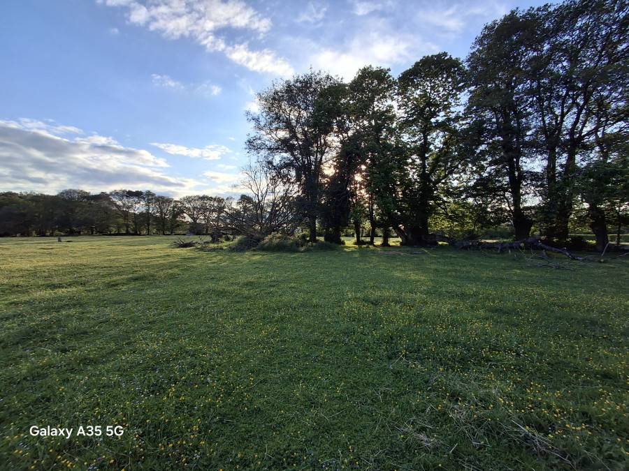 Belle propri&eacute;t&eacute; &eacute;questre Tr&eacute;dion Bretagne