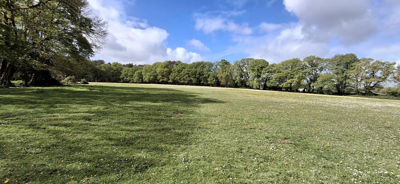 Belle propri&eacute;t&eacute; &eacute;questre de 3.50 ha dans le Morbihan 
