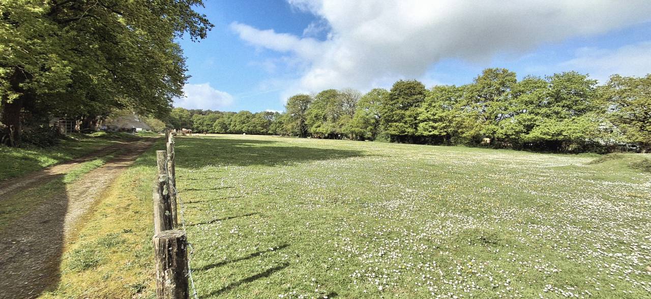 Belle propri&eacute;t&eacute; &eacute;questre de 3.50 ha dans le Morbihan 