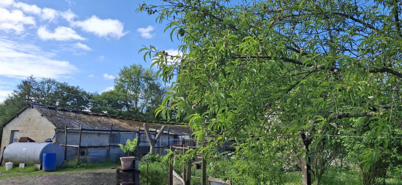 Belle propri&eacute;t&eacute; &eacute;questre de 3.50 ha dans le Morbihan 