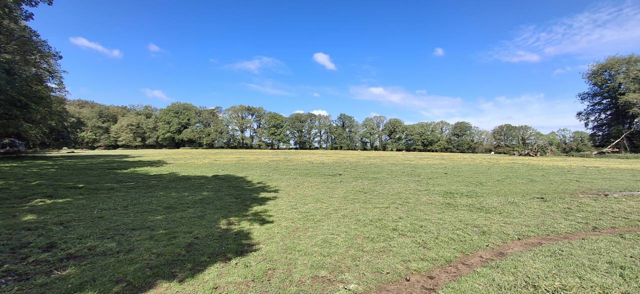 Belle propri&eacute;t&eacute; &eacute;questre de 3.50 ha dans le Morbihan 