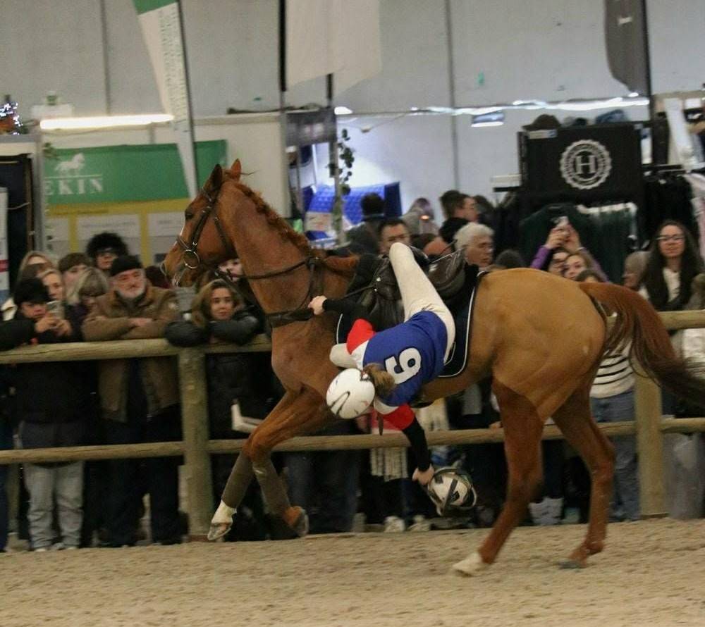 Cheval PS Comp&eacute;tition HORSE BALL 7 ans