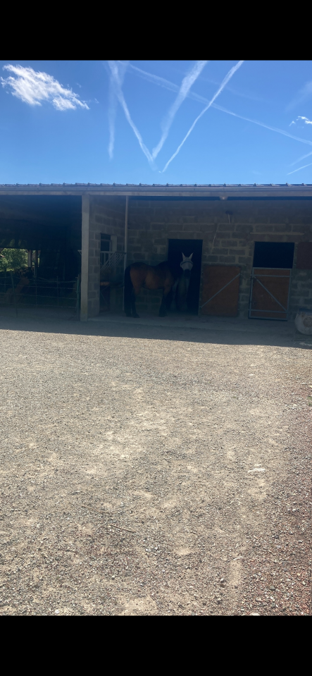 Halte &eacute;quid&eacute;s et cavaliers - &Eacute;curie du Bray - Tennie (72)