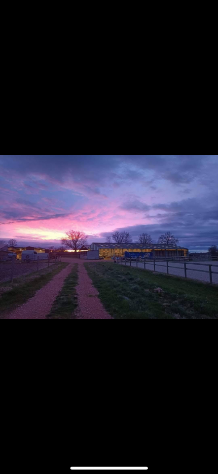 Pension chevaux Ecurie de propri&eacute;taire 
