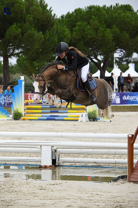 Poney Welsh part bred par Greatstar Embet Tilia 