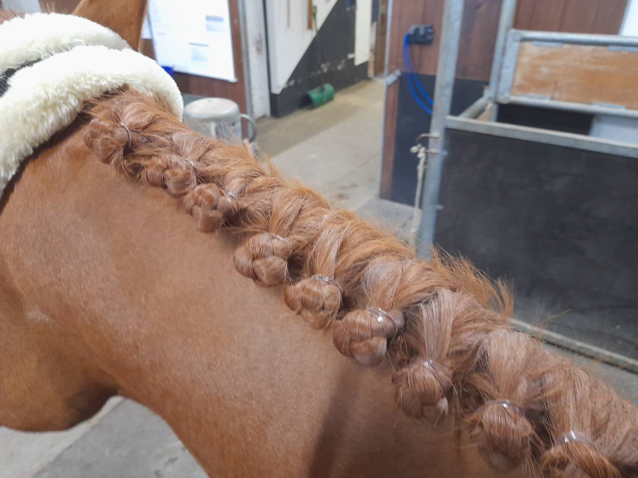 Stagiaire internationale