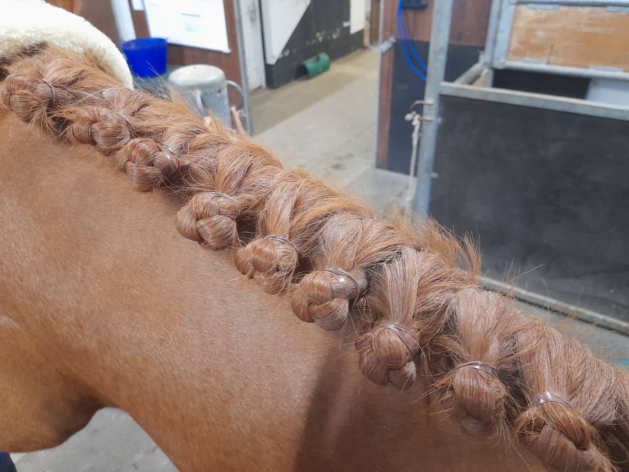 Stagiaire internationale