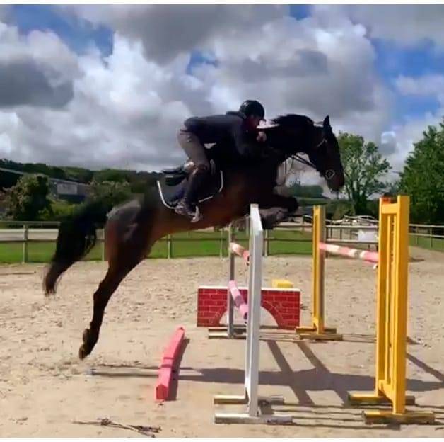 JUMENT PAR CORNET OBOLENSKY X PAPILLON ROUGE