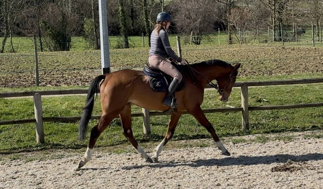 AQPS pour concours et/ou loisirs 