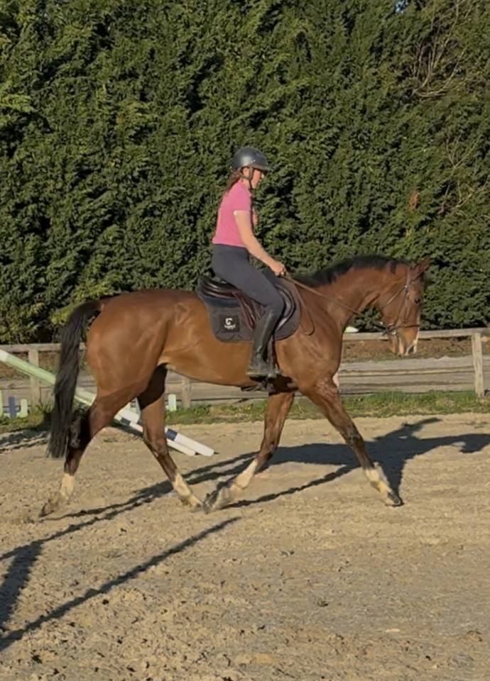 AQPS pour concours et/ou loisirs 