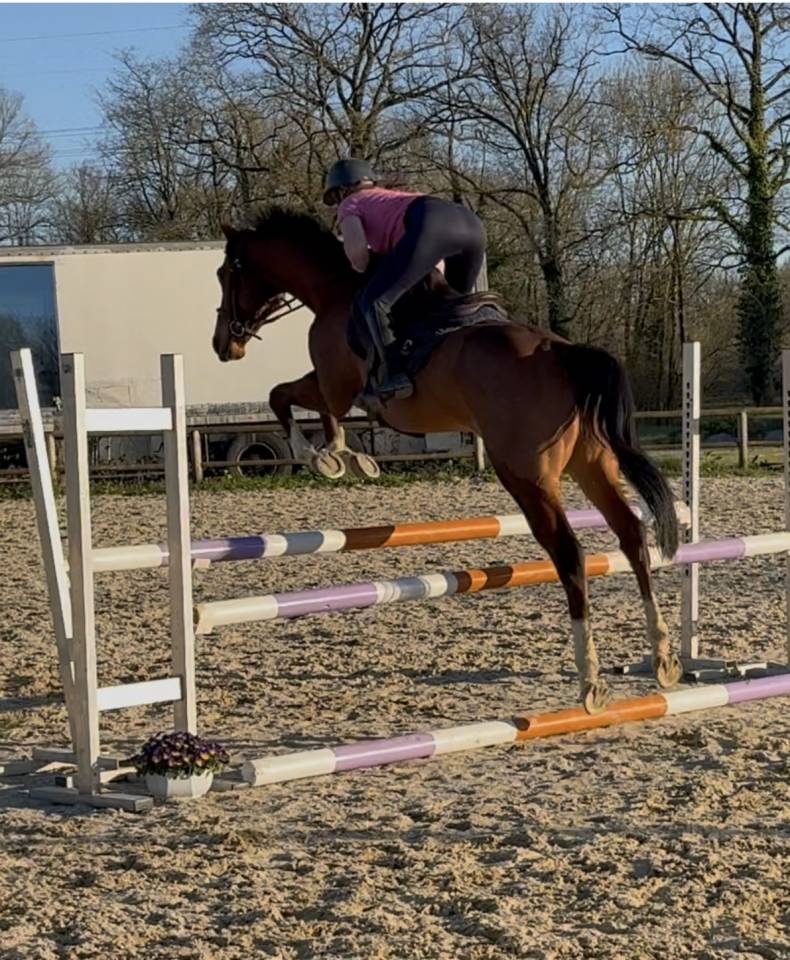 AQPS pour concours et/ou loisirs 