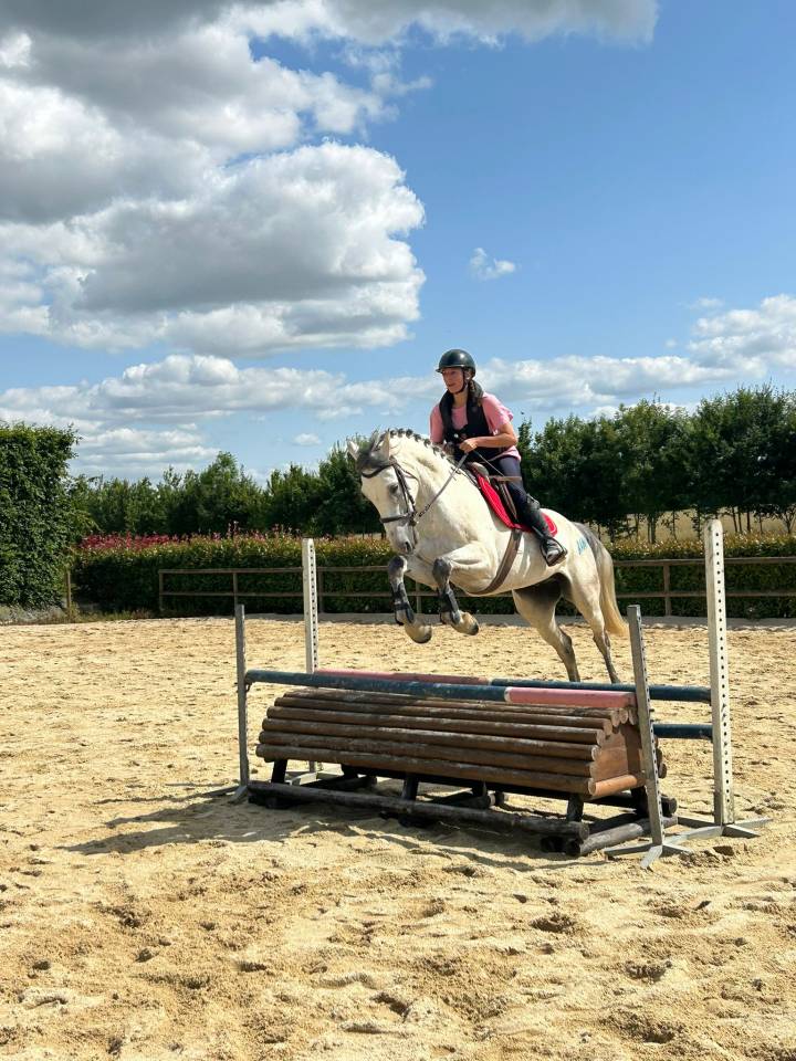 Hongre de 10 ans - Club 1 CSO