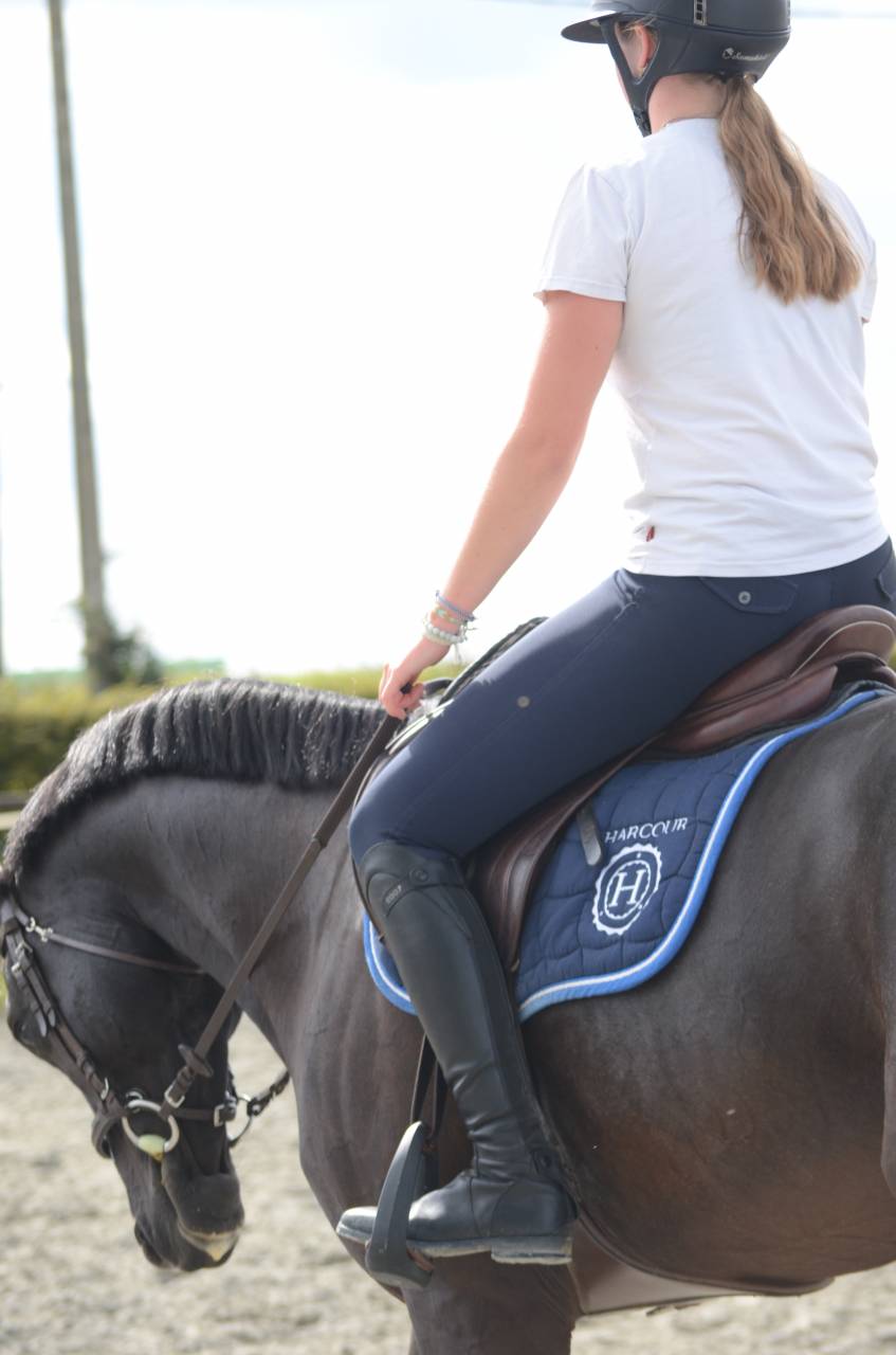 Selle fran&ccedil;ais de 9 ans ! 