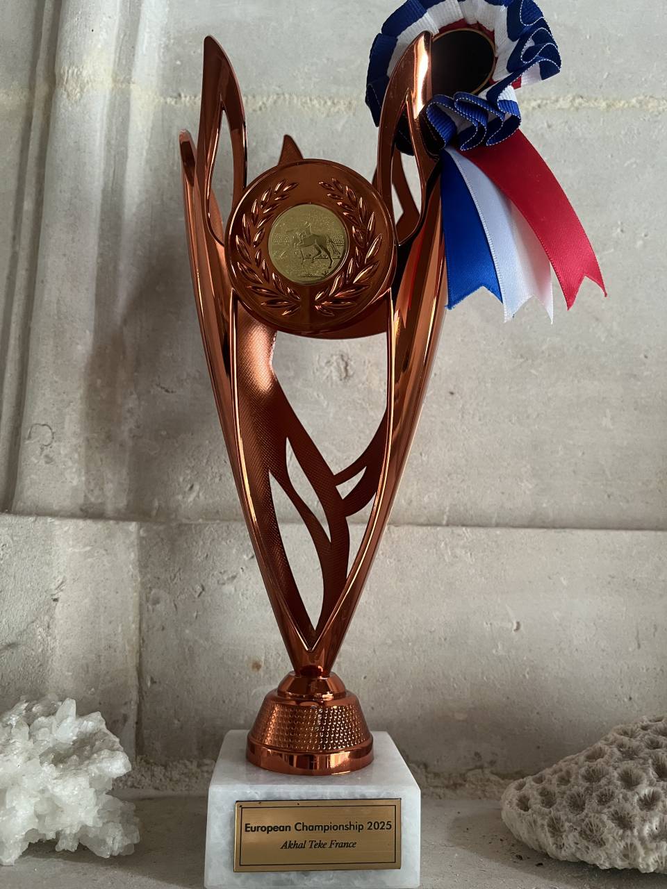 Aydogdy - Saillie &eacute;talon Akhal teke