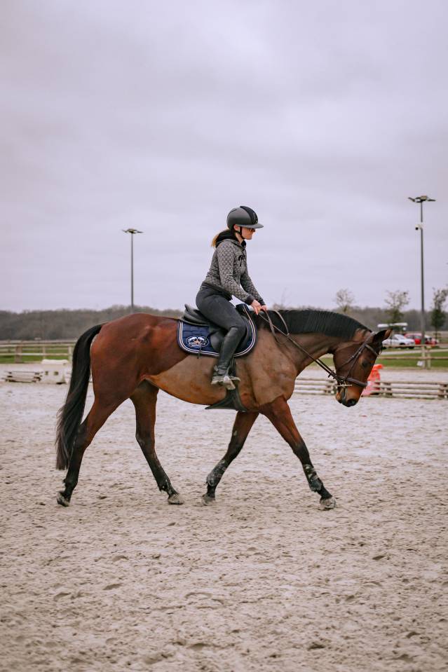 AQPS de 8ans, 165cm (M&egrave;re Selle fran&ccedil;ais)