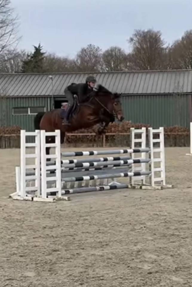 Jument 6 ans d&rsquo;avenir 