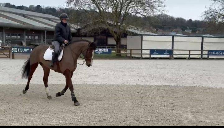 Tr&egrave;s jolie jument SF de 6 ans 