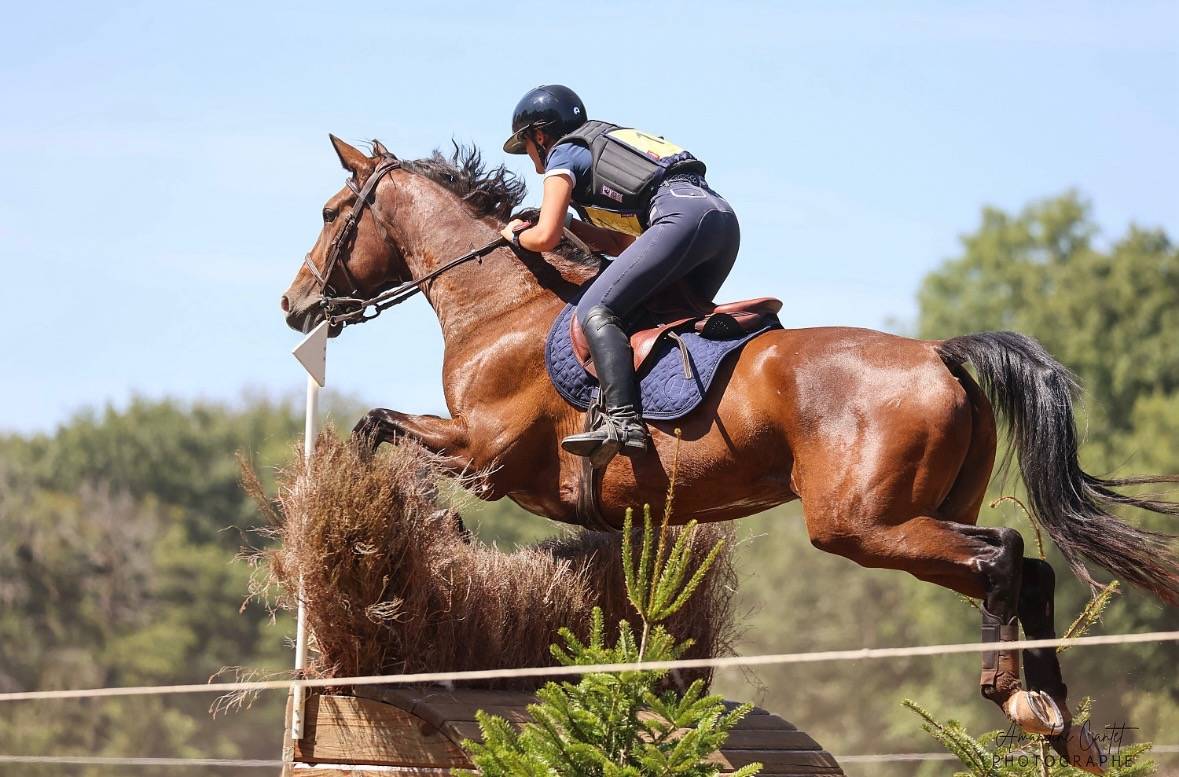 &Agrave; vendre F&eacute;nix des Joncs 