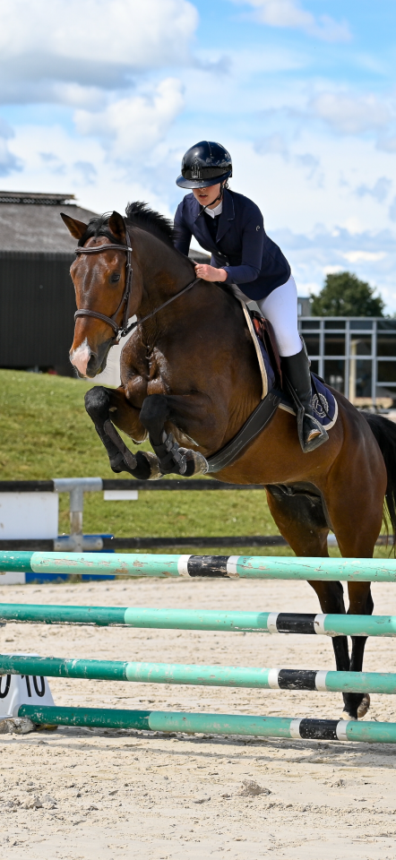 &Agrave; vendre F&eacute;nix des Joncs 