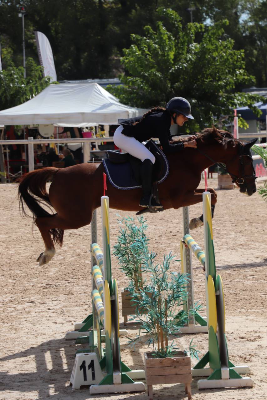 Ponette D pour As &agrave; louer 9 ans