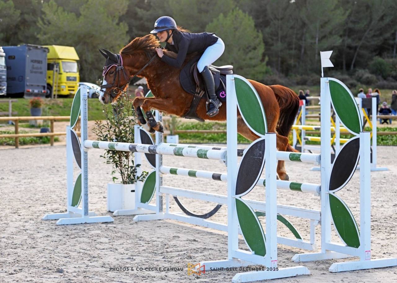 Ponette D pour As &agrave; louer 9 ans