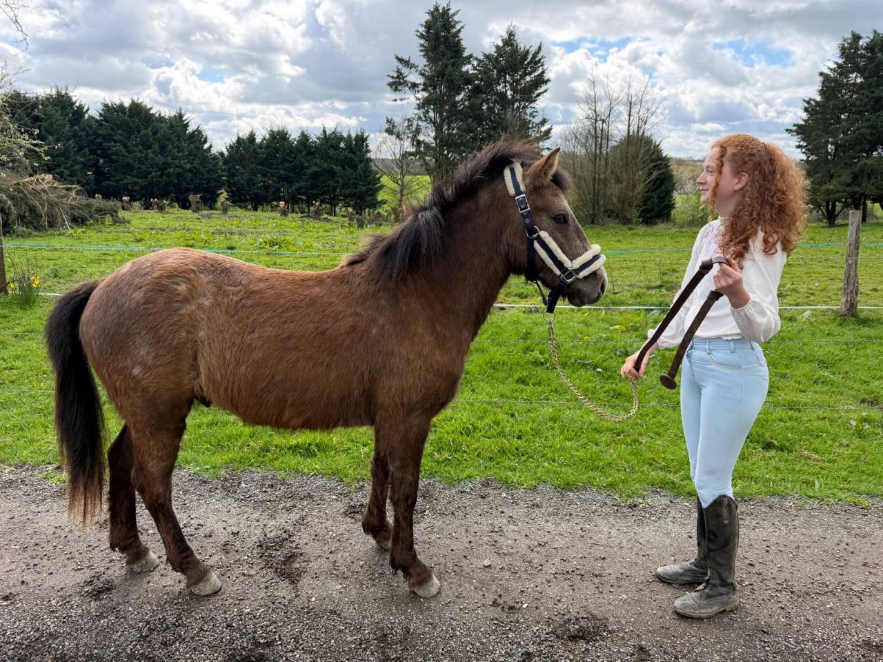 Jeune poney 2 ans pour CSO