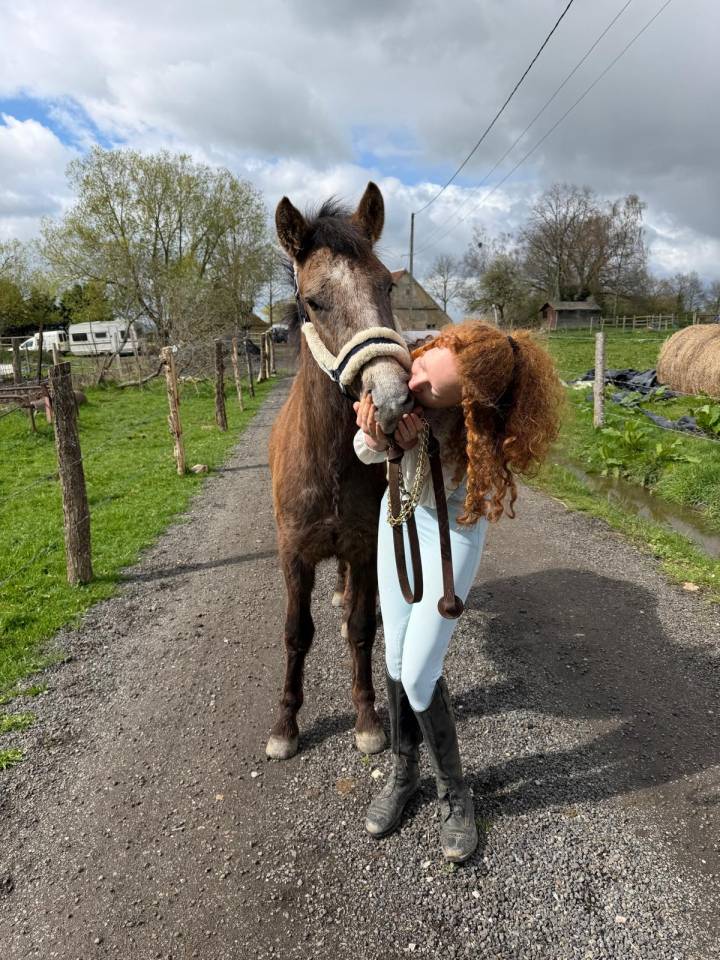 Jeune poney 2 ans pour CSO