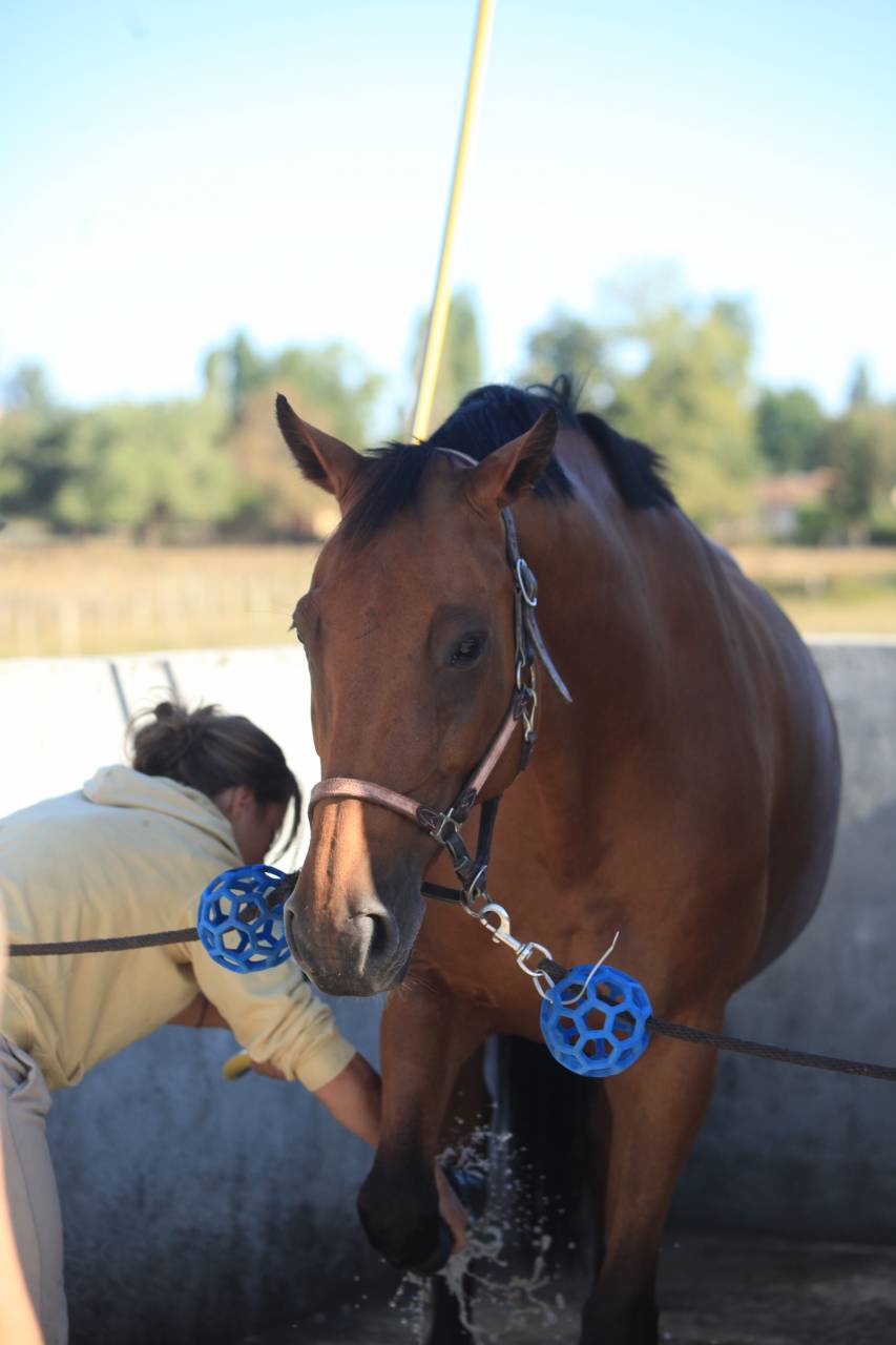 &Eacute;curie familiale proche de blaye 