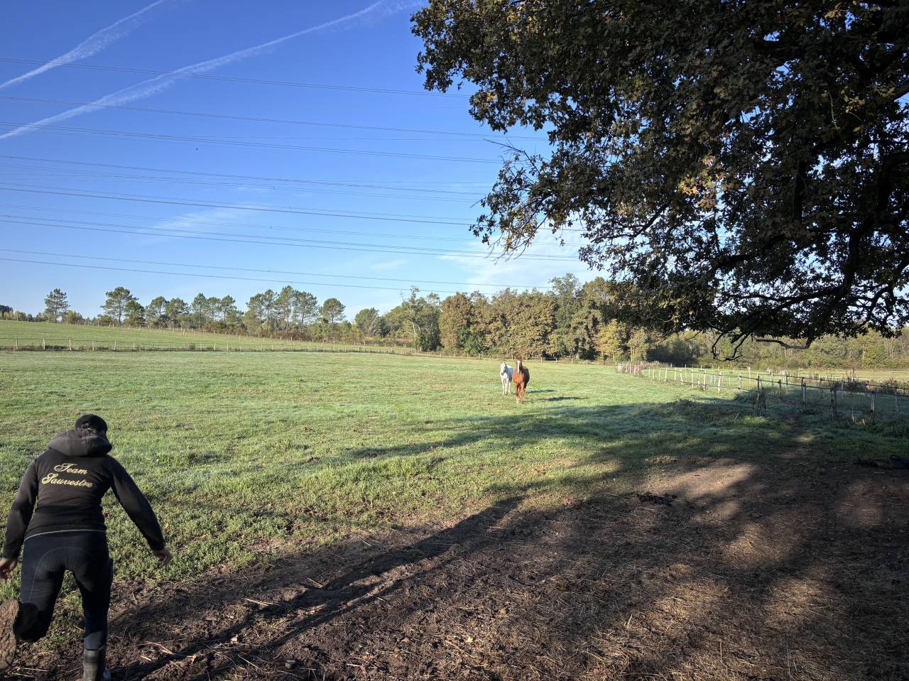 &Eacute;curie familiale proche de blaye 