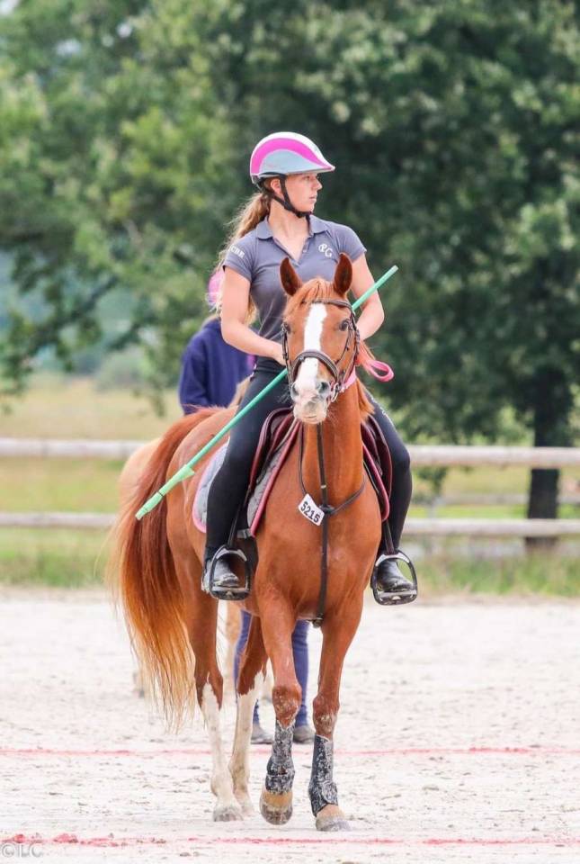 Poney &agrave; vendre