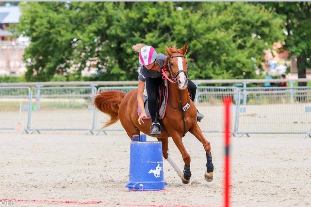 Poney &agrave; vendre