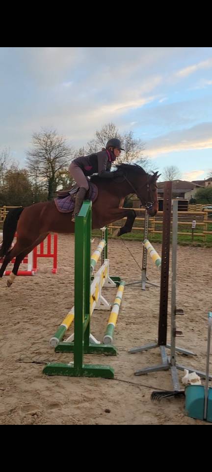 Ponette PFS 5 ans