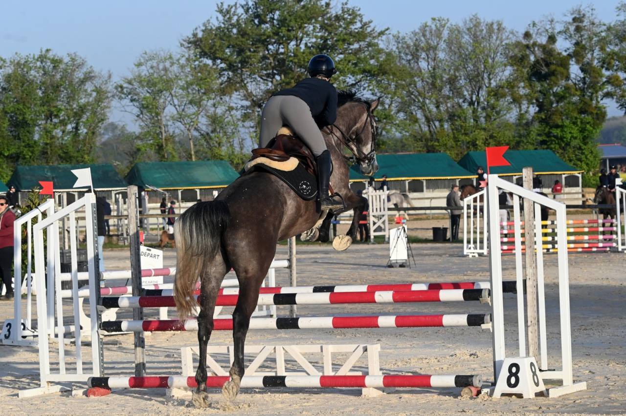 Jument SF top lign&eacute;e 