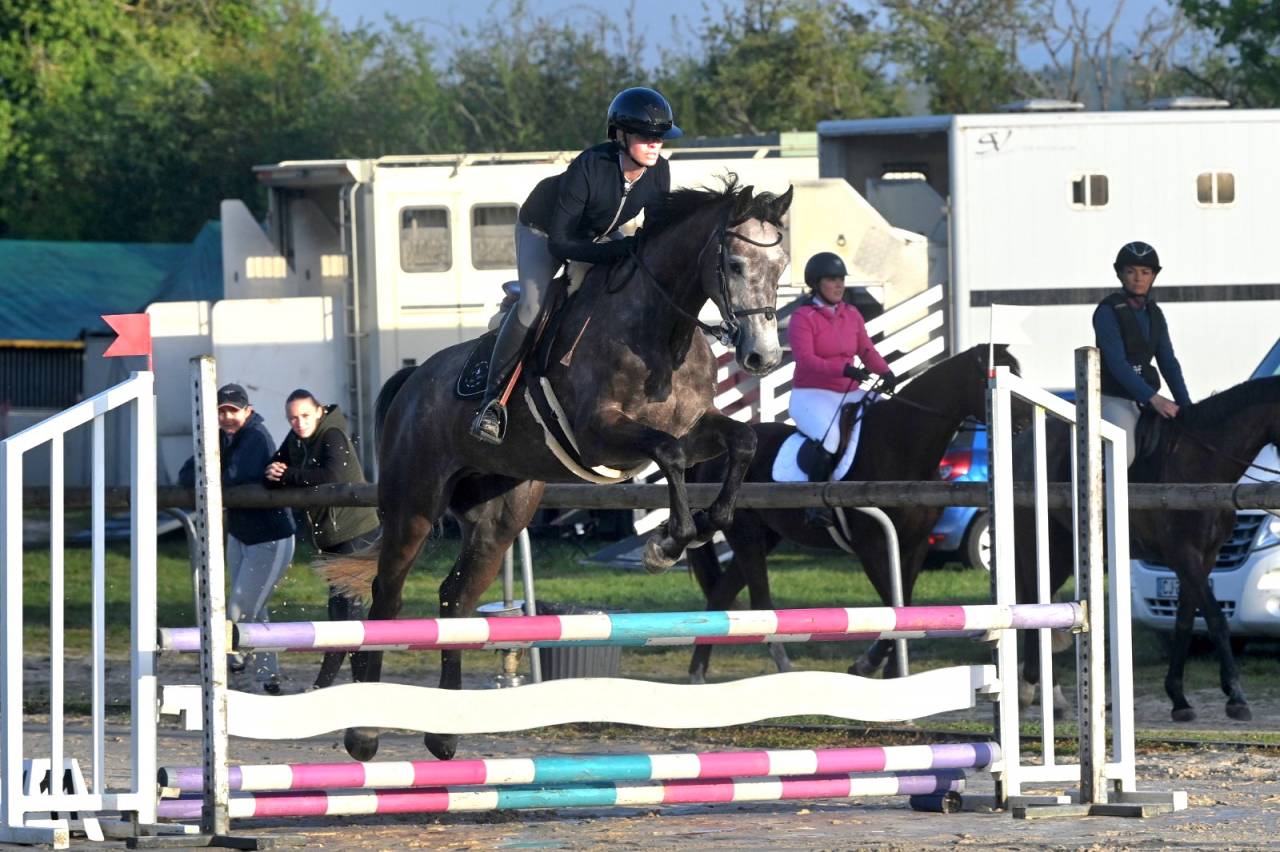 Jument SF top lign&eacute;e 