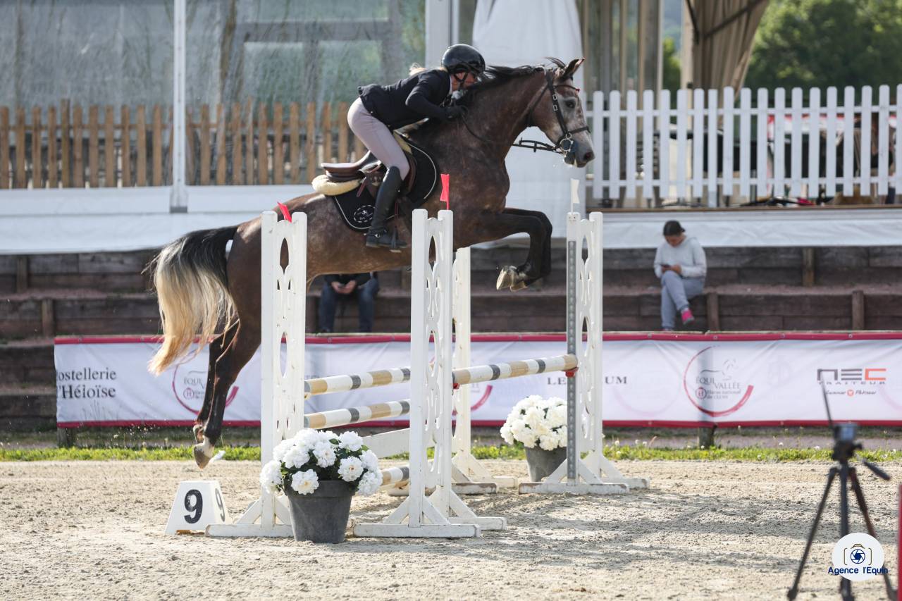 Jument SF top lign&eacute;e 