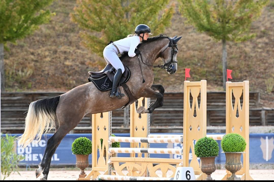 Jument SF top lign&eacute;e 
