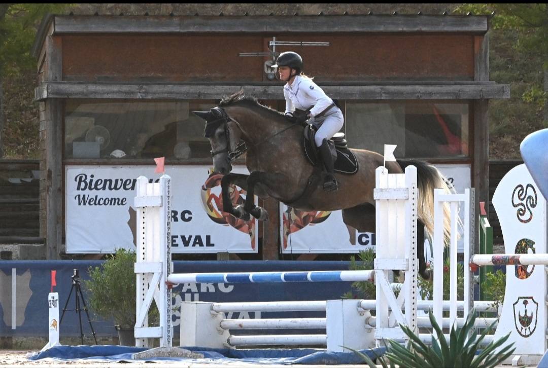 Jument SF top lign&eacute;e 