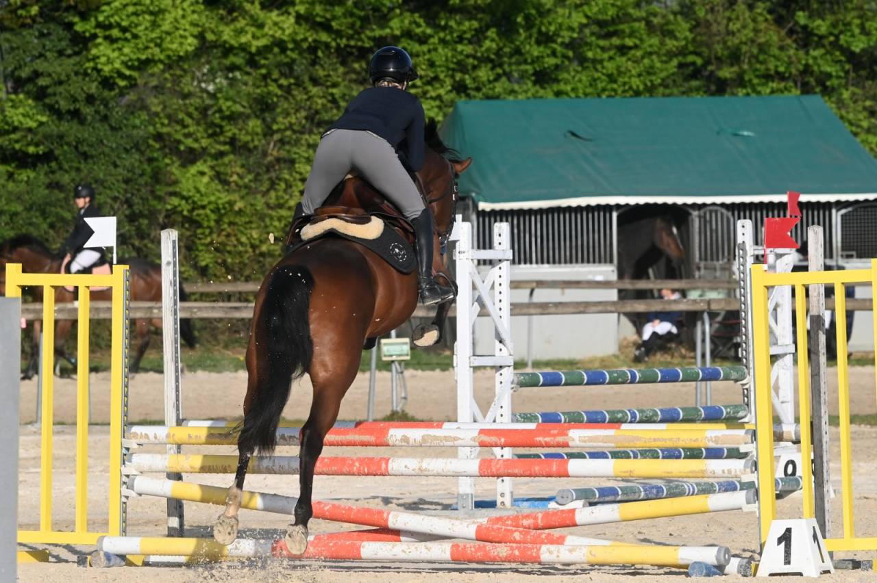 Jument SF 4 ans Cooper VD Heffnick 