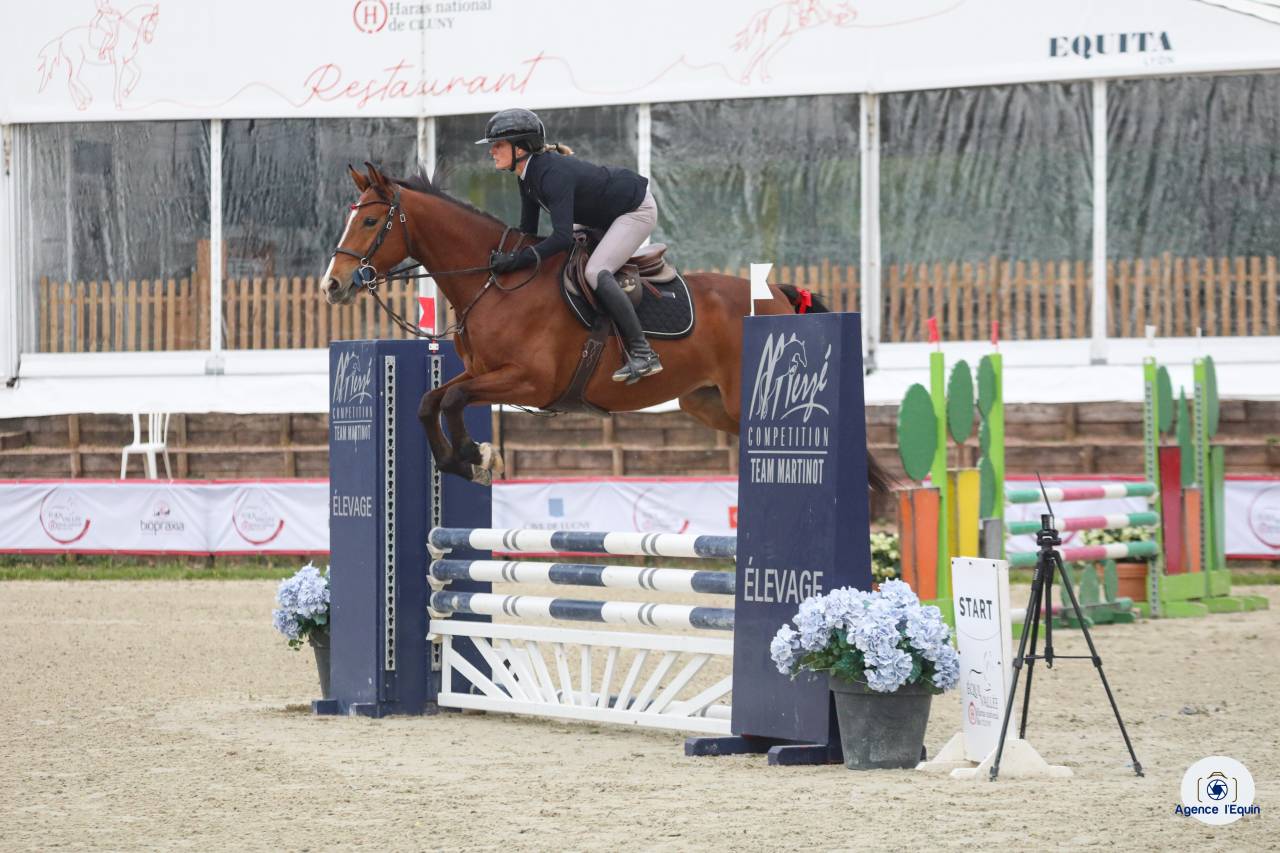 Jument SF 4 ans Cooper VD Heffnick 