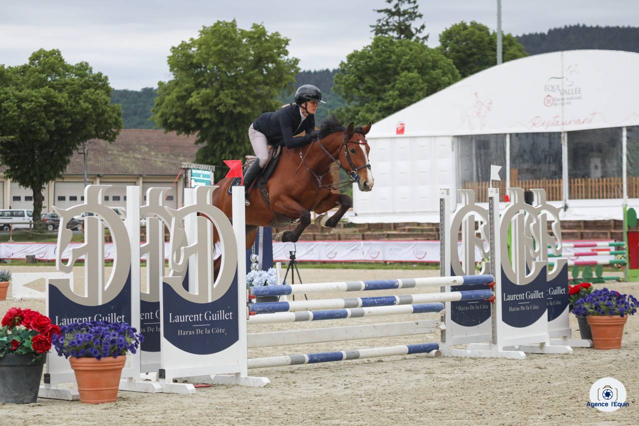 Jument SF 4 ans Cooper VD Heffnick 