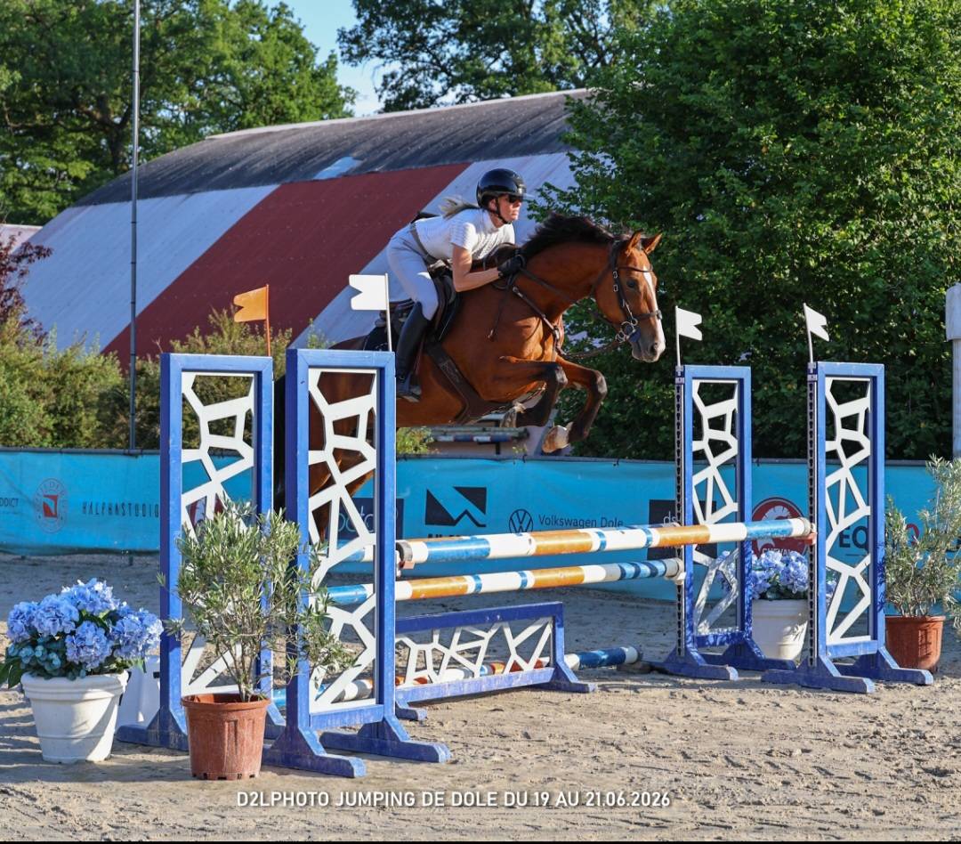 Jument SF 4 ans Cooper VD Heffnick 