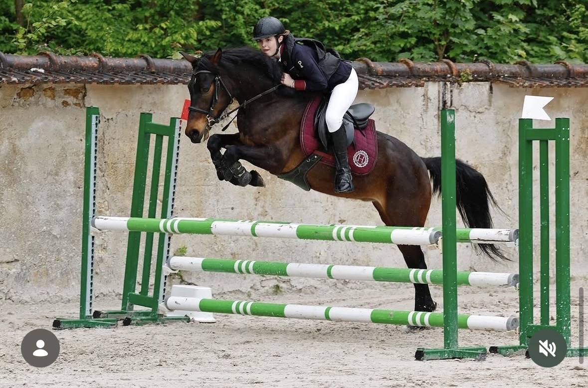 Super poney de comp&eacute;tition