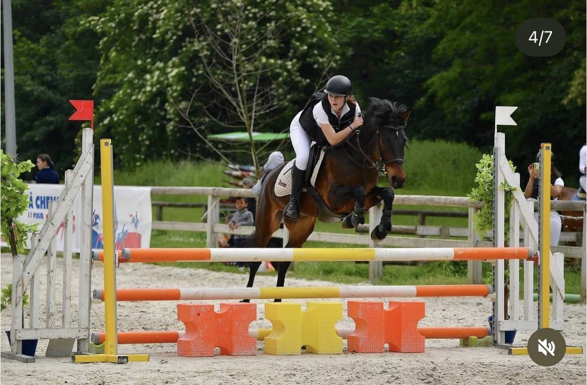 Super poney de comp&eacute;tition