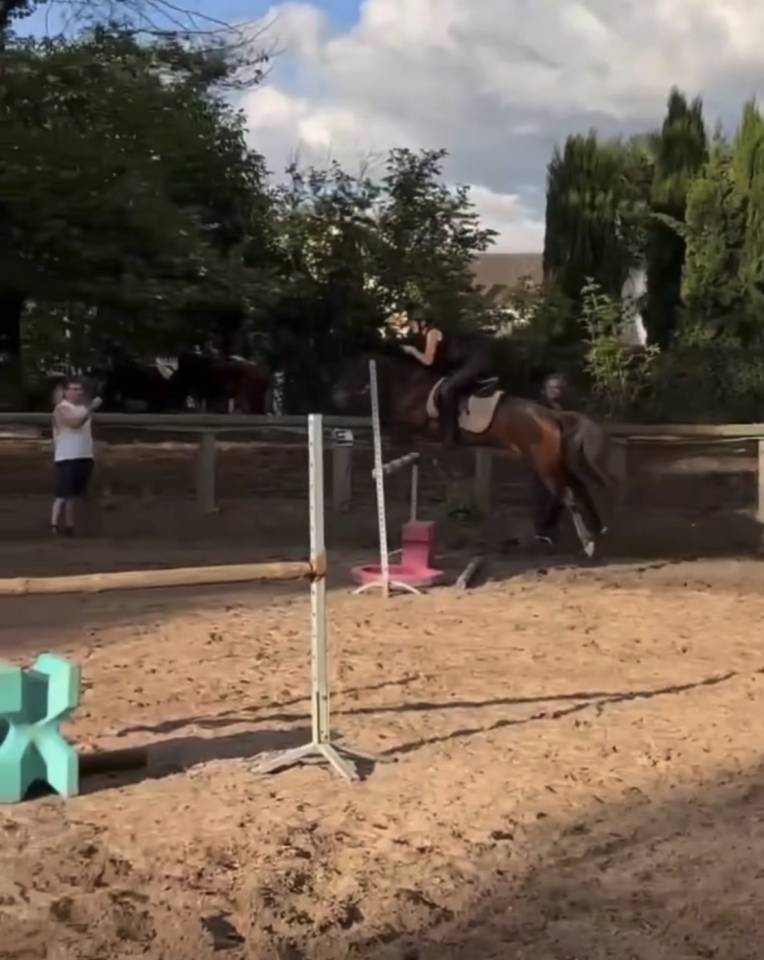 Super poney de comp&eacute;tition